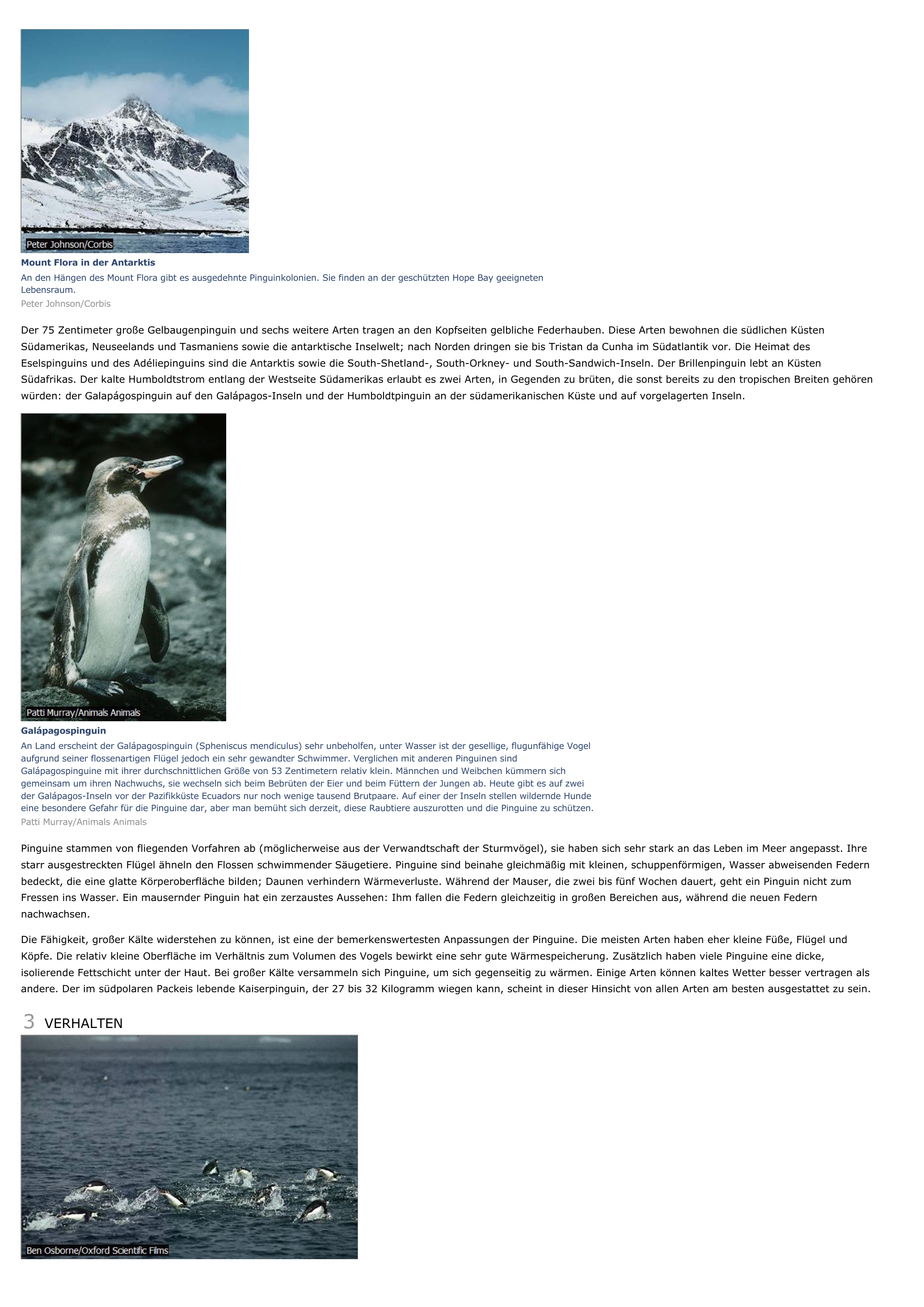 Prévisualisation du document Pinguine - biologie.