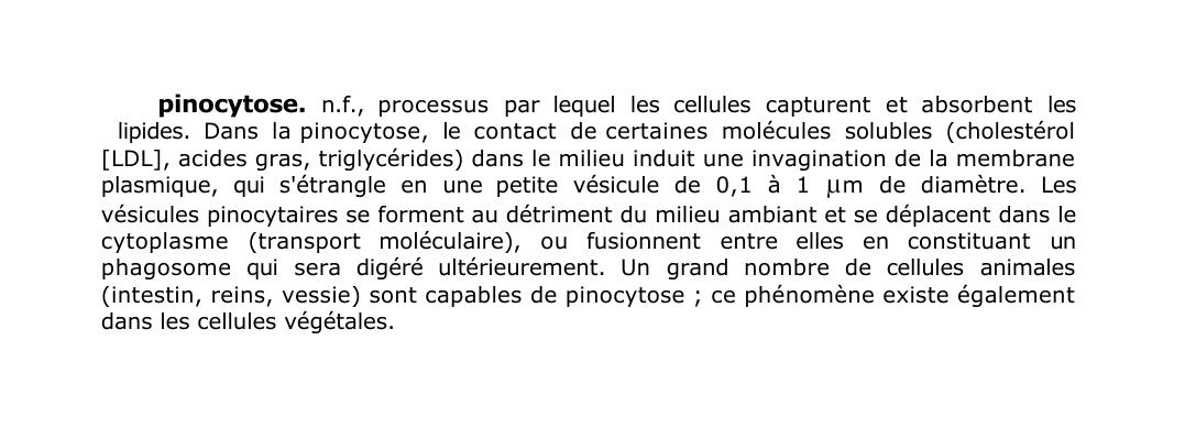 Prévisualisation du document pinocytose.
