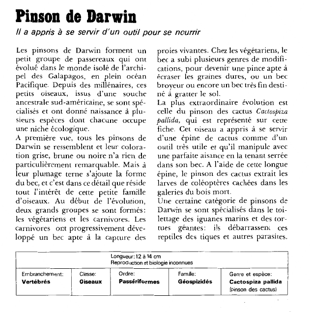 Prévisualisation du document Pinson de Darwin:Il a appris à se servir d'un outil pour se nourrir.
