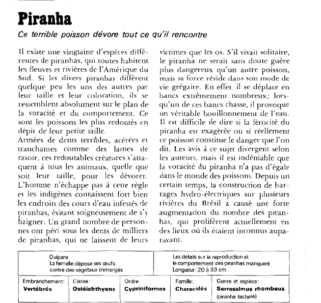 Prévisualisation du document Piranha:Ce terrible poisson dévore tout ce qu'il rencontre.