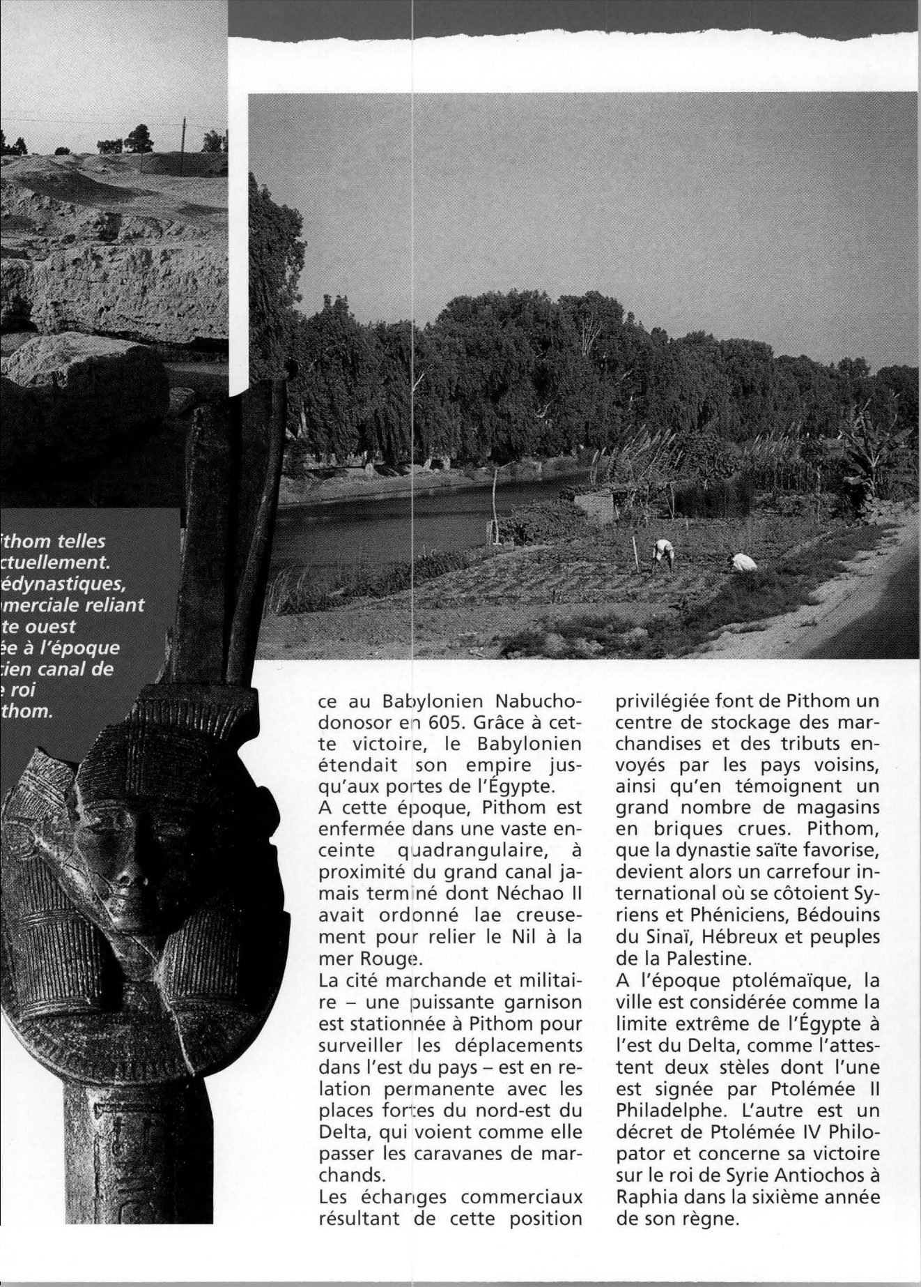 Prévisualisation du document Pithom : une place forte aux marges de l'Egypte