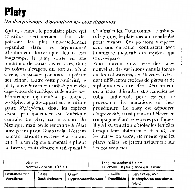 Prévisualisation du document PlatyUn des poissons d'aquarium les plus répandus.