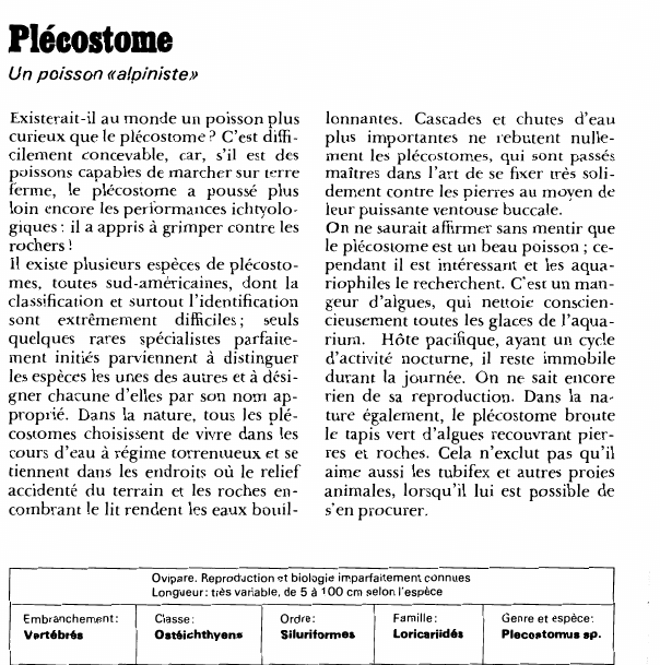Prévisualisation du document Plécostome:Un poisson «alpiniste».