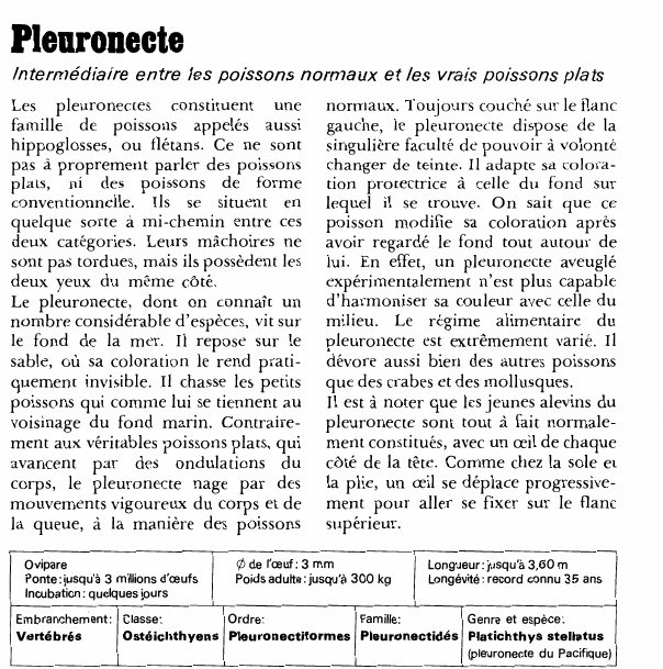 Prévisualisation du document Pleuronecte:Intermédiaire entre les poissons normaux et les vrais poissons plats.