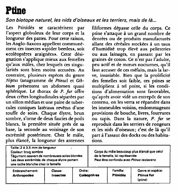 Prévisualisation du document Pline:Son biotope naturel, les nids d'oiseaux et les terriers, mais de là.