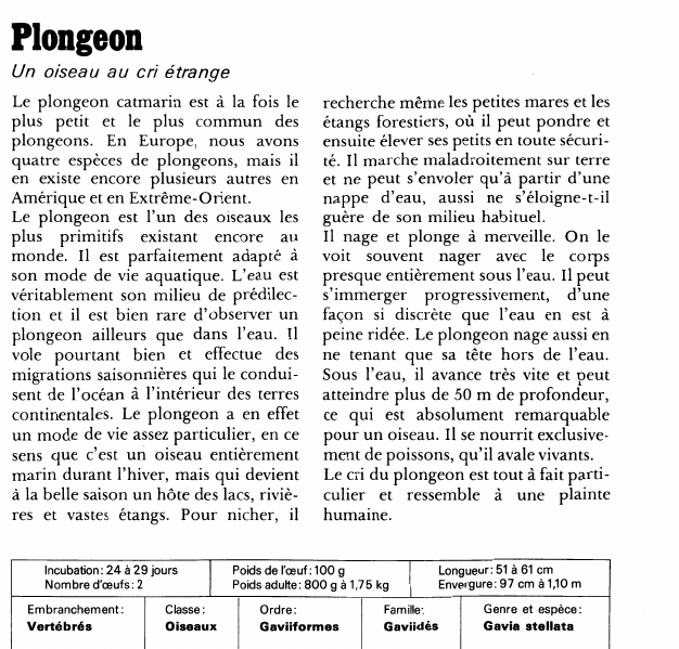 Prévisualisation du document Plongeon:Un oiseau au cri étrange.