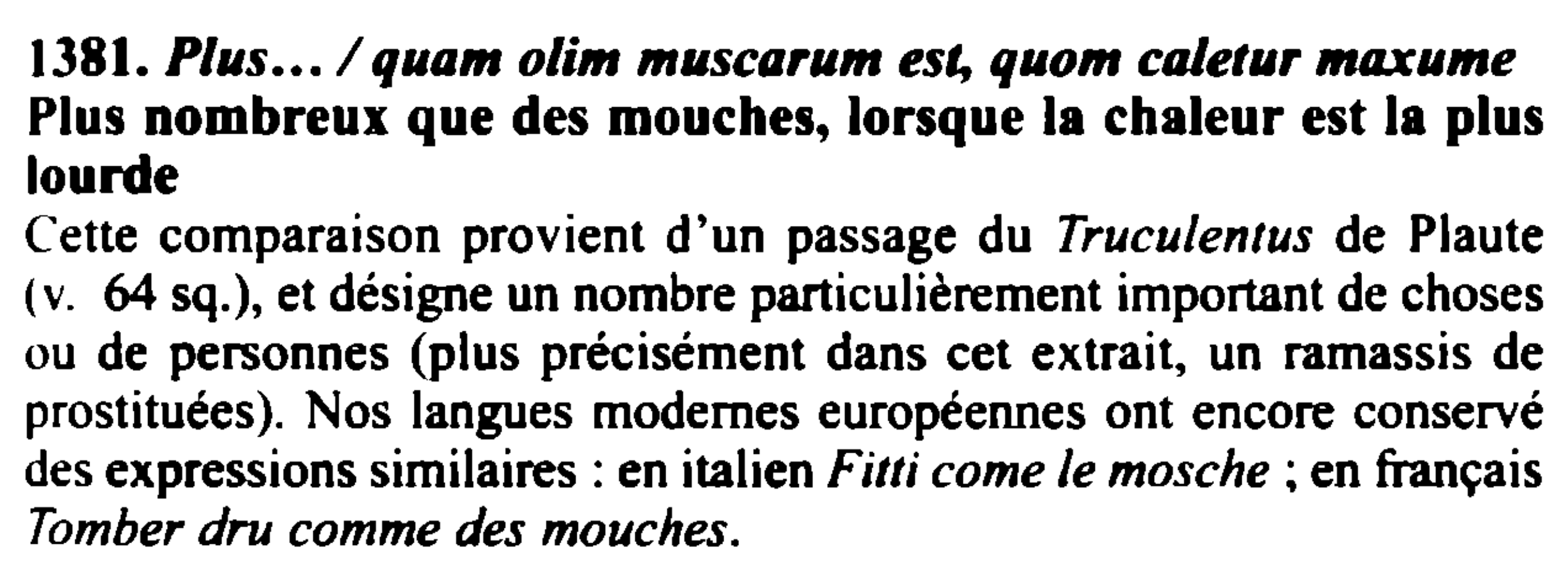 Prévisualisation du document Plus.../ quam olim muscarum est, quom caletur maxume