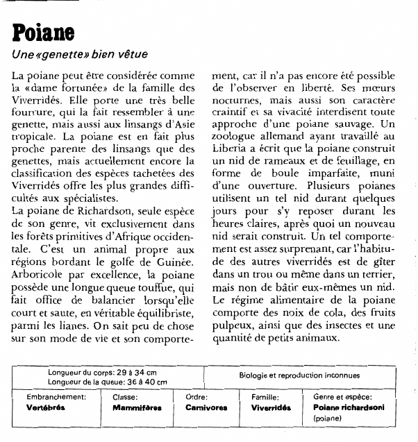 Prévisualisation du document PoianeUne «genette» bien vêtueLa poiane peut être considérée comme la «dame fortunée» de la famille des Viverridés.