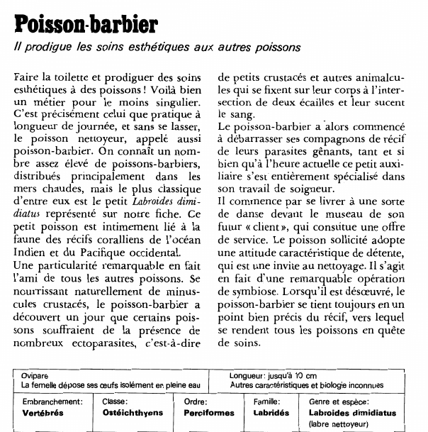 Prévisualisation du document Poisson-barbier:Il prodigue les soins esthétiques aux autres poissons.