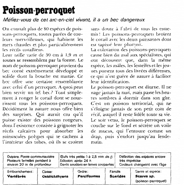 Prévisualisation du document Poisson-perroquet:Méfiez-vous de cet arc-en-ciel vivant, il a un bec dangereux.
