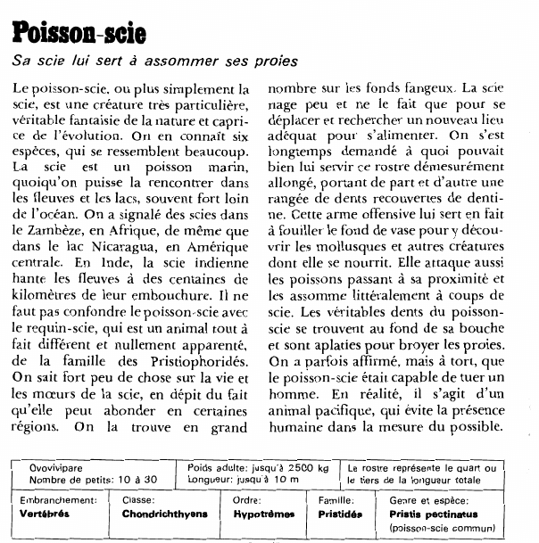 Prévisualisation du document Poisson-scie:Sa scie lui sert â assommer ses proies.