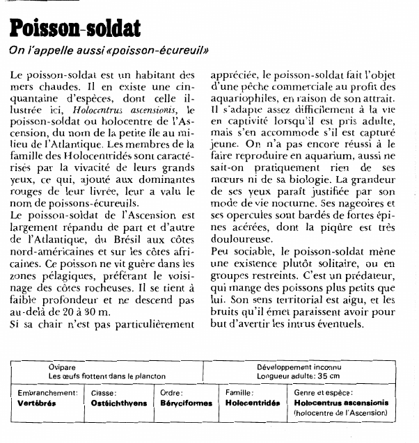 Prévisualisation du document Poisson-soldatOn l'appelle aussi «poisson-écureuil»Le poisson-soldat est un habitant des mers chaudes.