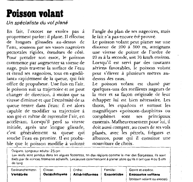 Prévisualisation du document Poisson volant:Un spécialiste du vol plané.