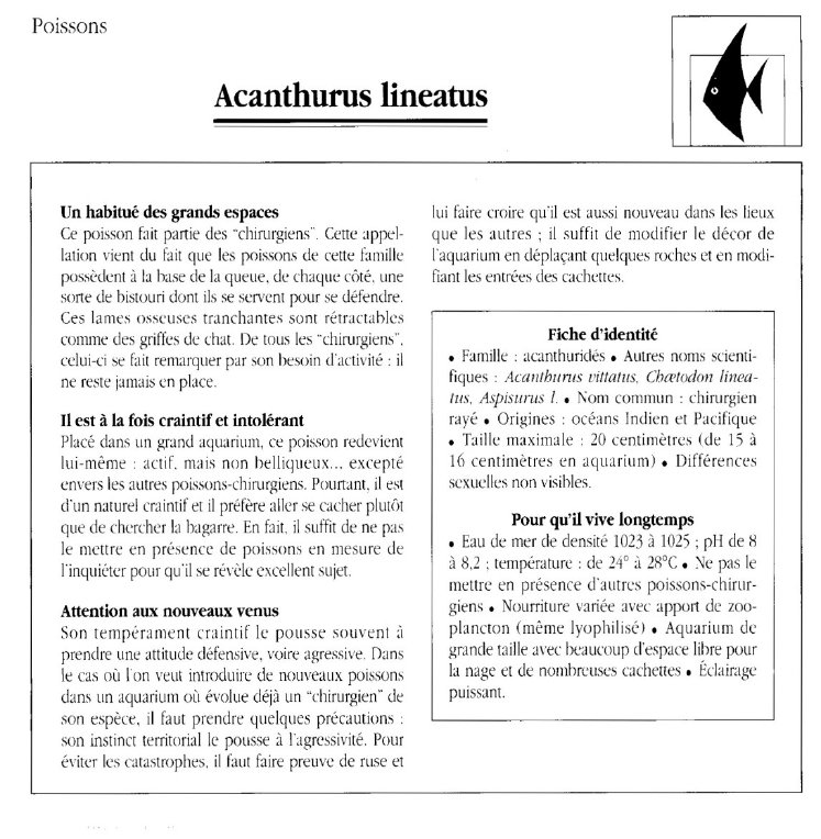 Prévisualisation du document Poissons:Acanthurus line atus.