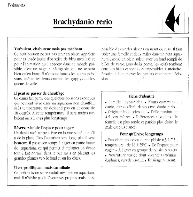 Prévisualisation du document Poissons:Brachydanio rerio.