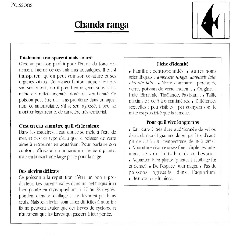 Prévisualisation du document Poissons:Chanda ranga.