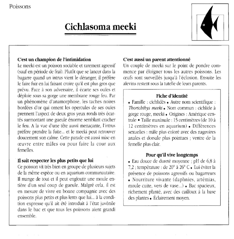 Prévisualisation du document Poissons;Cichiasoma meeki.