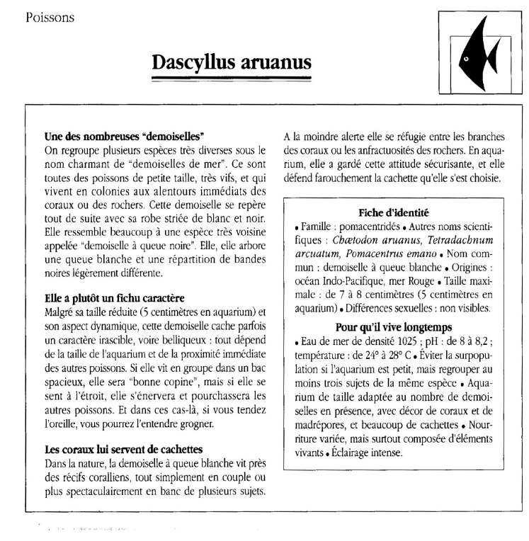 Prévisualisation du document Poissons:Dascyllus aruanus.
