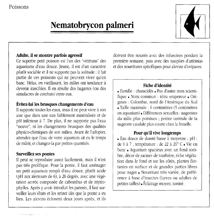 Prévisualisation du document Poissons:Nematobrycon palmeri.