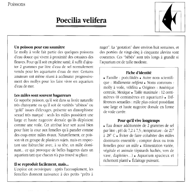 Prévisualisation du document Poissons:Poecilia velifera.