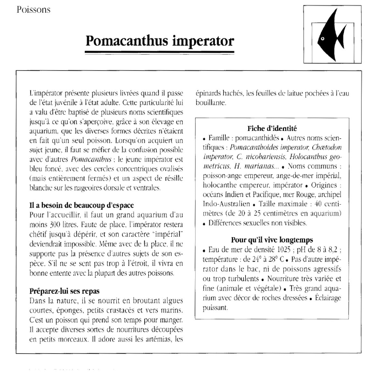 Prévisualisation du document Poissons:Pomacanthus imperator.