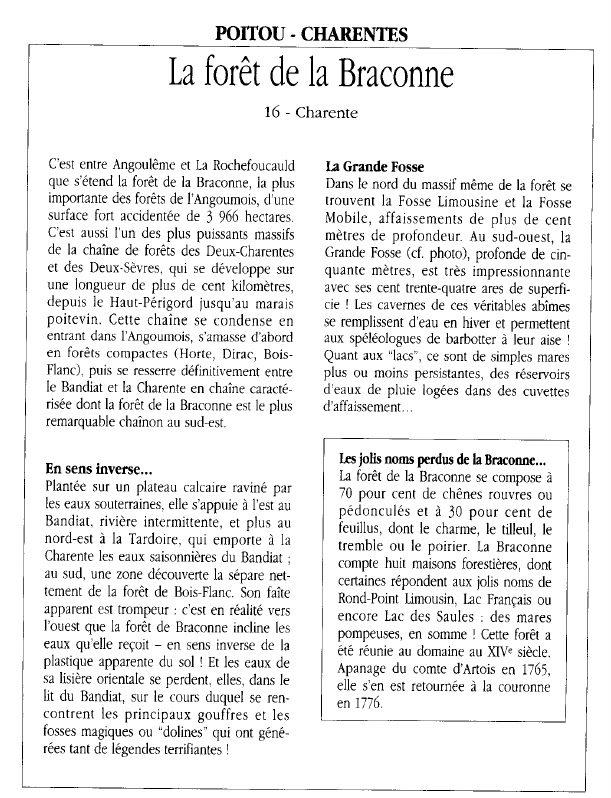 Prévisualisation du document POITOU - CHARENTESLa forêt de la Braconne.