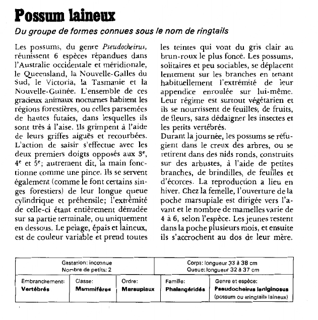 Prévisualisation du document Possum laineux:Du groupe de formes connues sous le nom de ringtails.