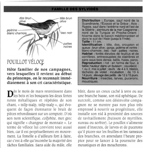 Prévisualisation du document POUILLOT VÉLOC