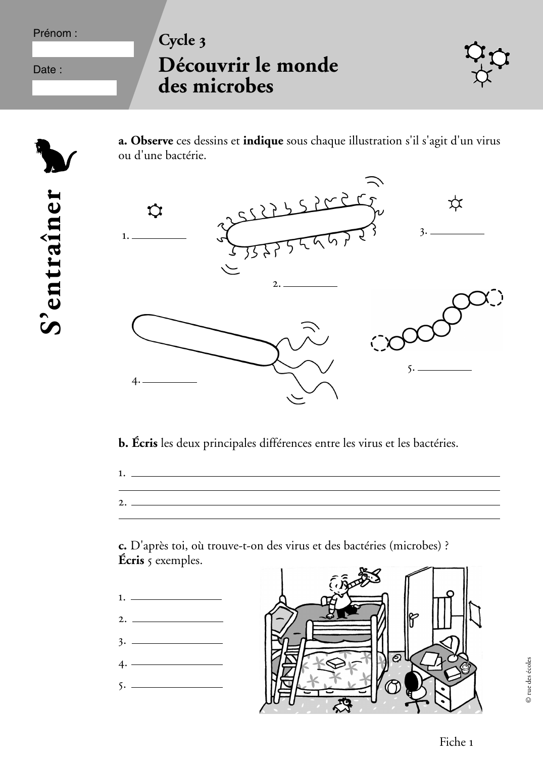 Prévisualisation du document Prénom :Cycle 3Découvrir le mondedes microbesDate :3.