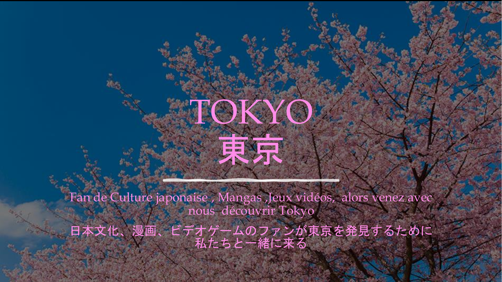 Prévisualisation du document présentation Tokyo
