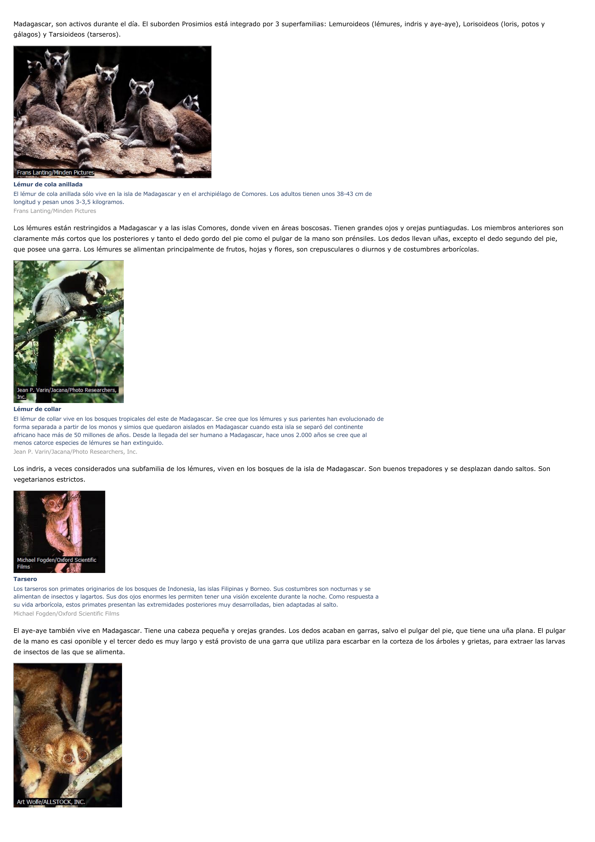 Prévisualisation du document Primate - ciencias de la naturaleza.