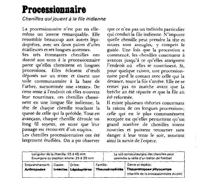 Prévisualisation du document Processionnaire:Chenilles qui jouent à la file indienne.