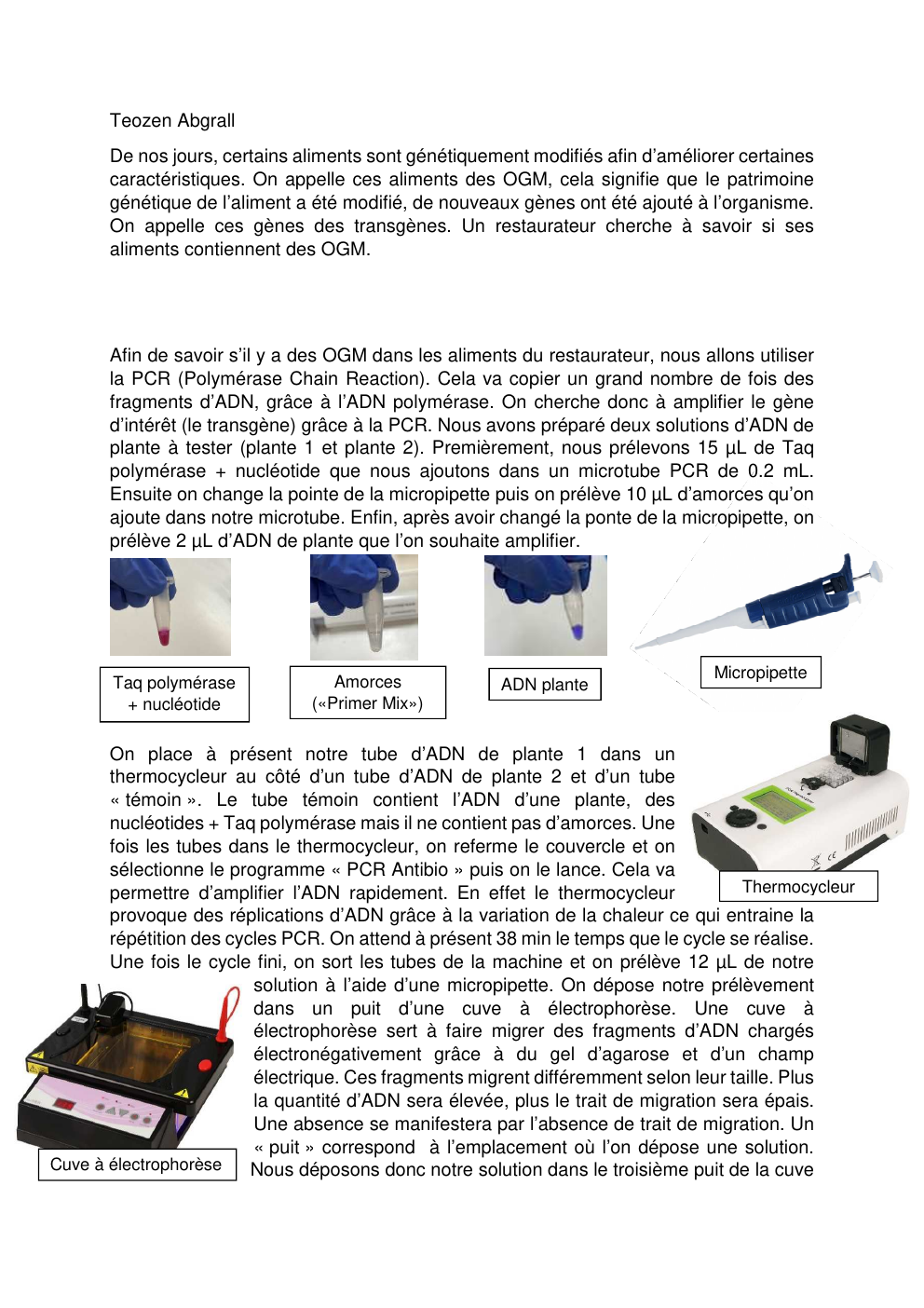 Prévisualisation du document Protocole pour savoir s'il y a des OGM dans un aliment