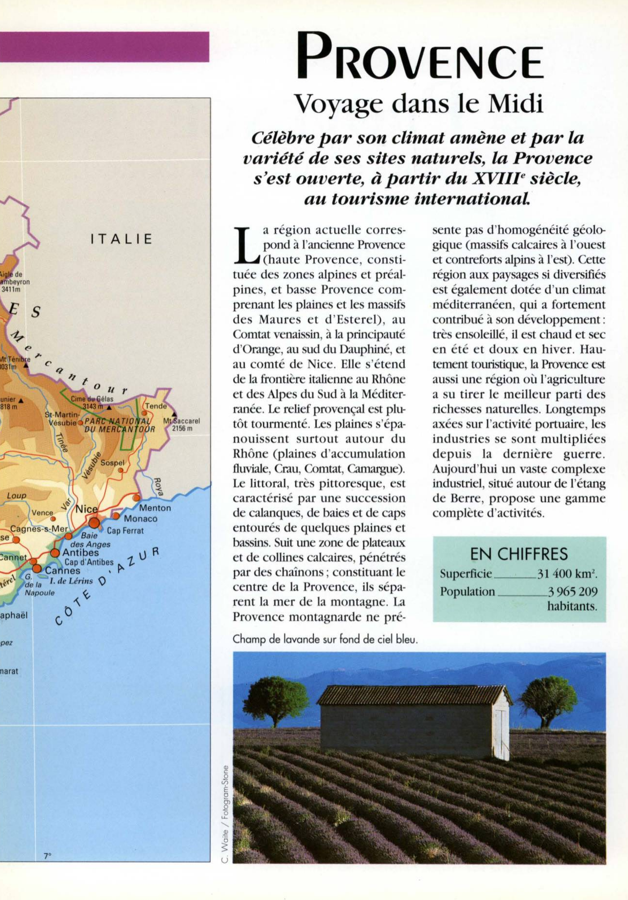 Prévisualisation du document PROVENCE RÉGION DE FRANCE Les bonnes odeurs de lavande