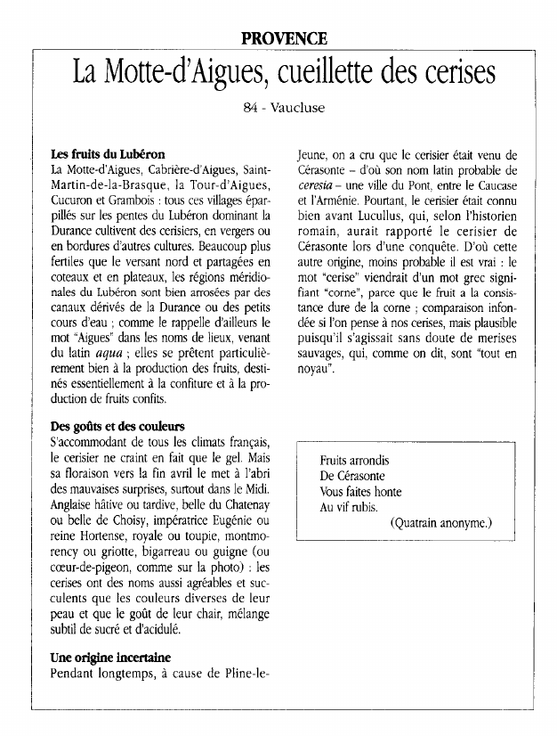 Prévisualisation du document PROVENCELa Motte-d'Algues, cueillette des cerises.