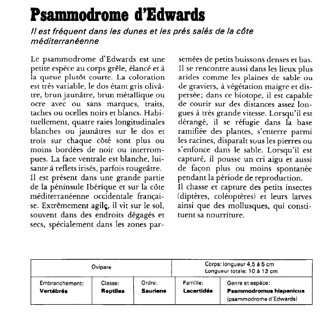 Prévisualisation du document Psumnodrome d'Edwards:Il est fréquent dans les dunes et les prés salés de la côte méditerranéenne.