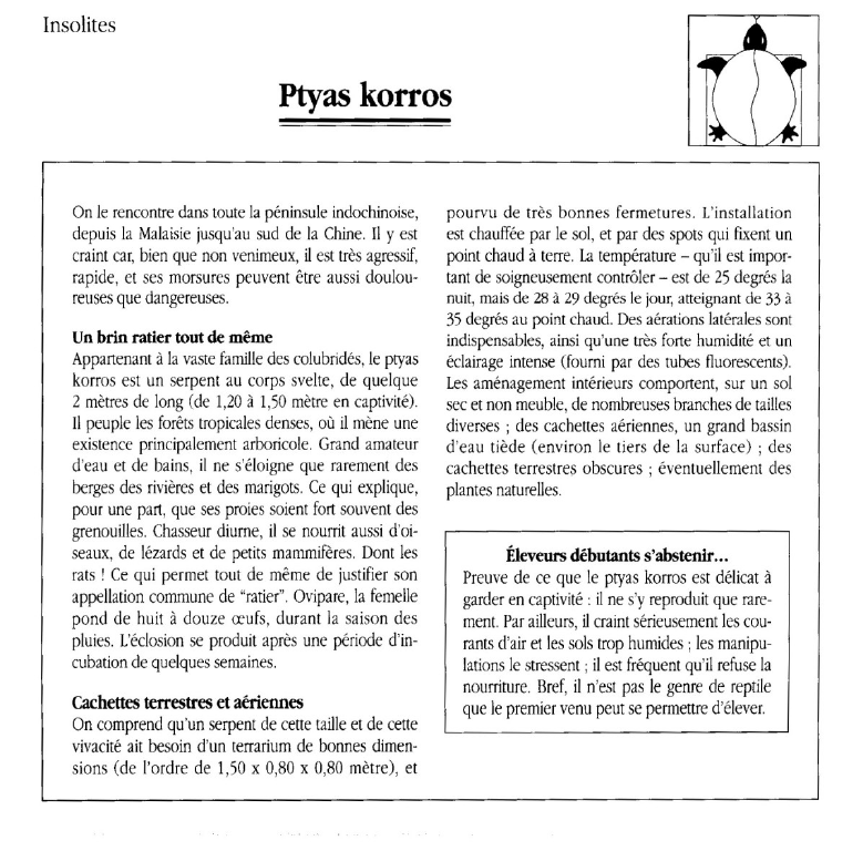 Prévisualisation du document Ptyas korros.