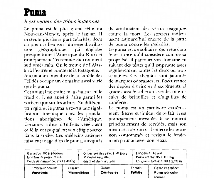 Prévisualisation du document Puma:Il est vénéré des tribus indiennes.