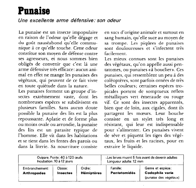 Prévisualisation du document Punaise:Une excellente arme défensive: son odeur.