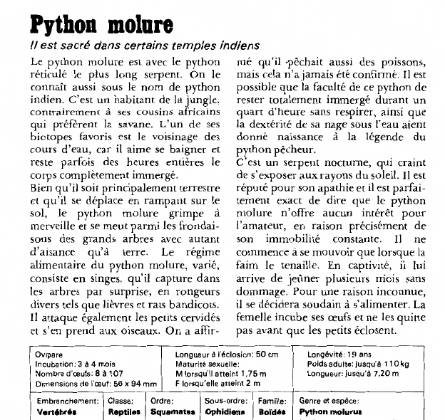 Prévisualisation du document Python molure:ll est sacré dans certains temples indiens.