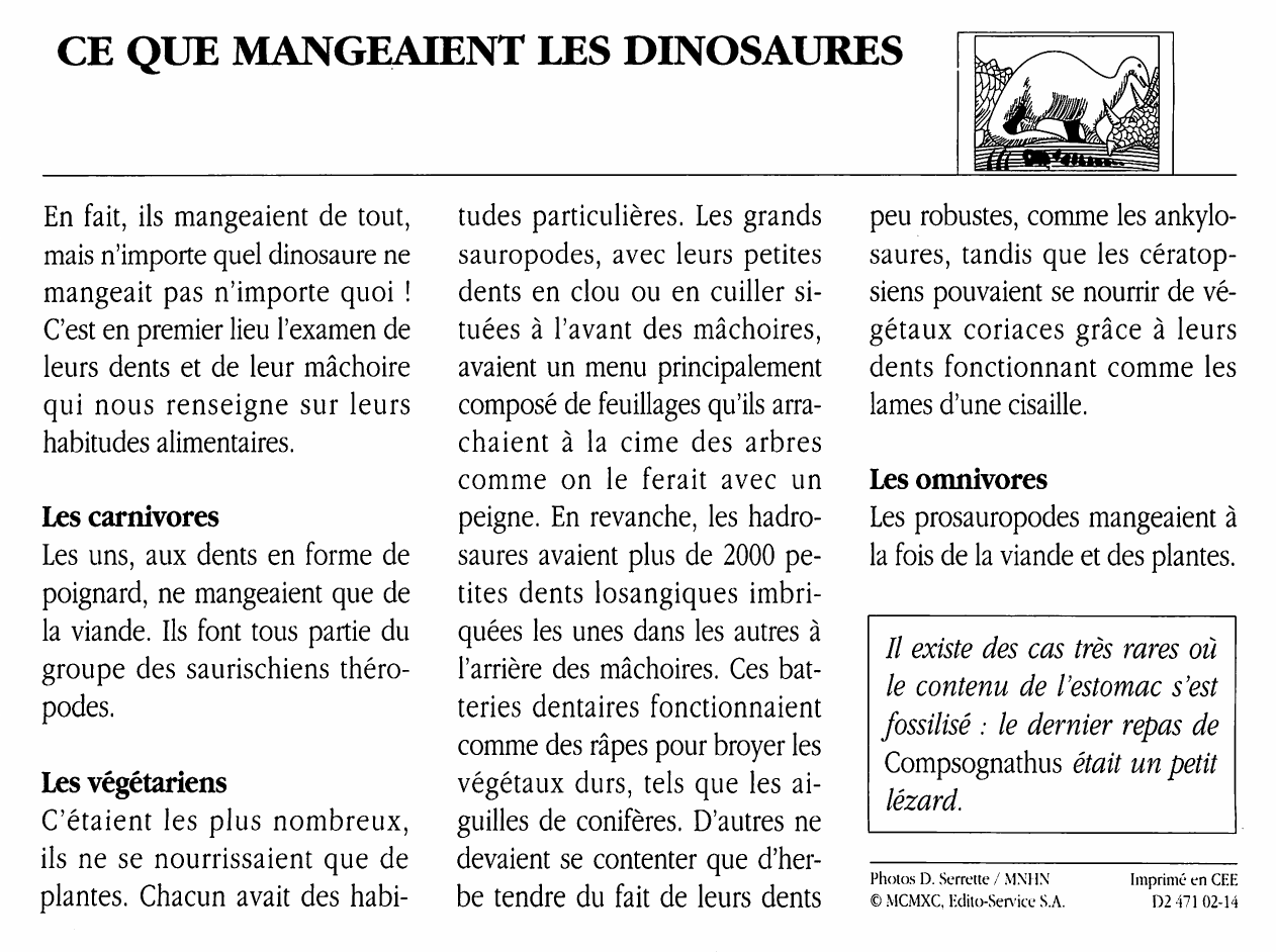 Prévisualisation du document Que mangeaient les dinosaures ?