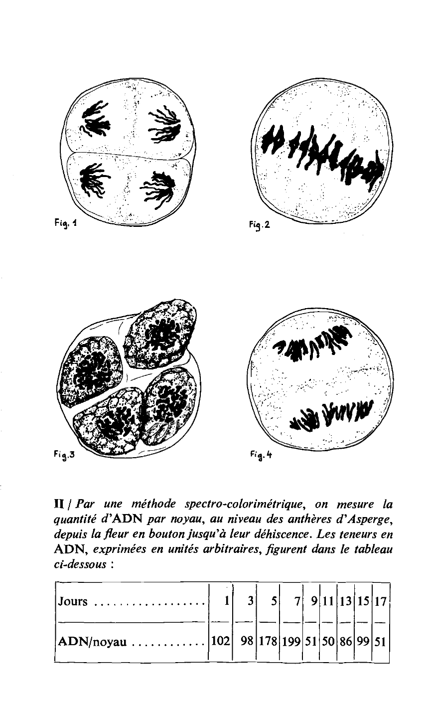 Prévisualisation du document Quelques aspects de la reproduction d'une spermaphyte.