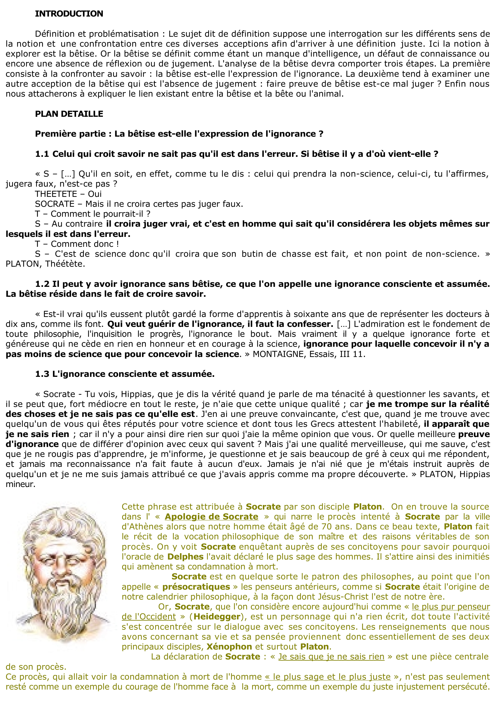 Prévisualisation du document Qu'est-ce que la bêtise 	?