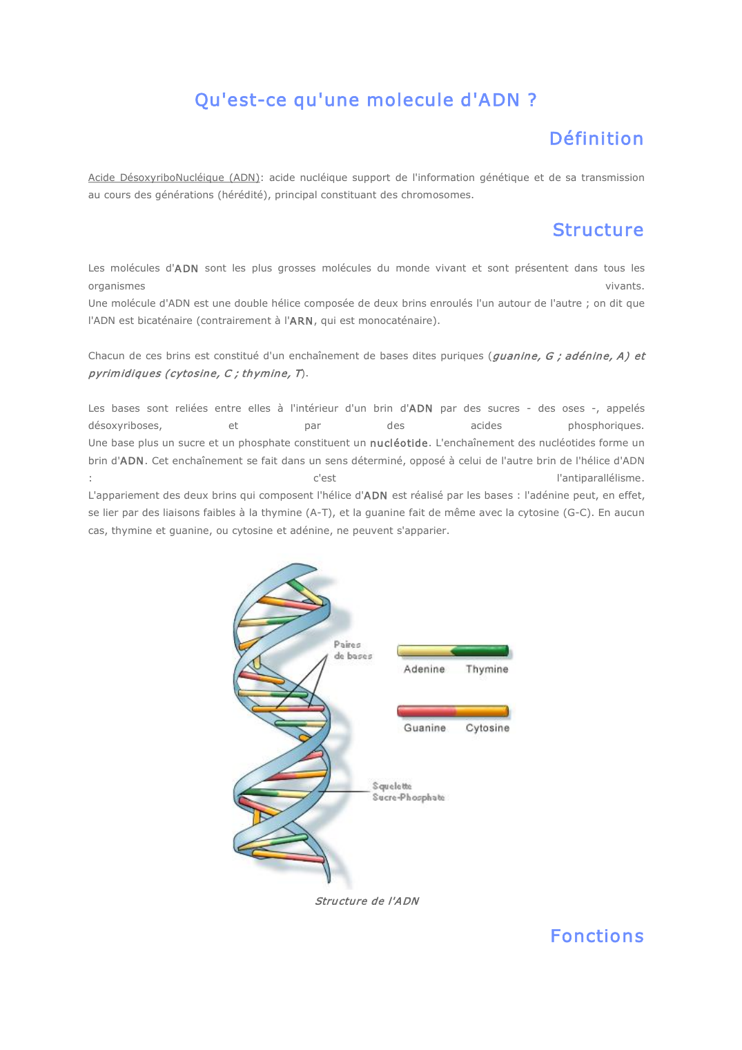 Prévisualisation du document Qu'est-ce que l'ADN ?
