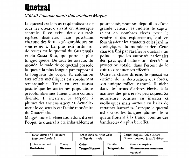 Prévisualisation du document Quetzal:C'était l'oiseau sacré des anciens Mayas.