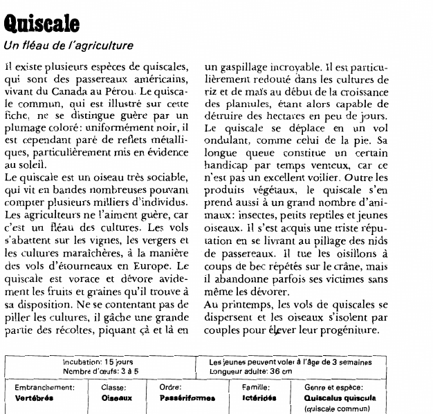 Prévisualisation du document Quiscale:Un fléau de l'agriculture.