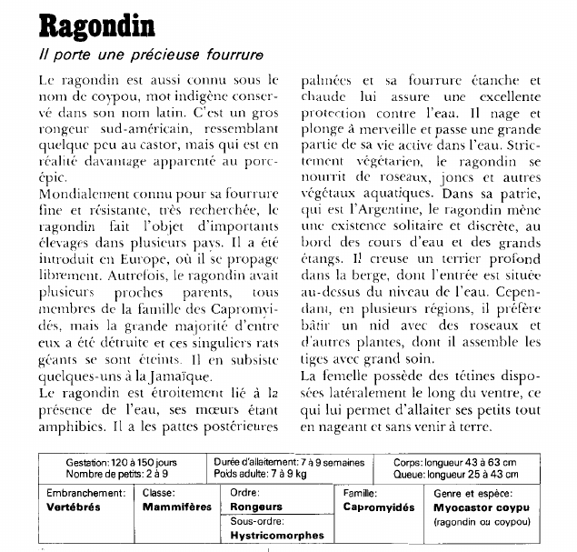Prévisualisation du document Ragondin:il porte une précieuse fourrure.