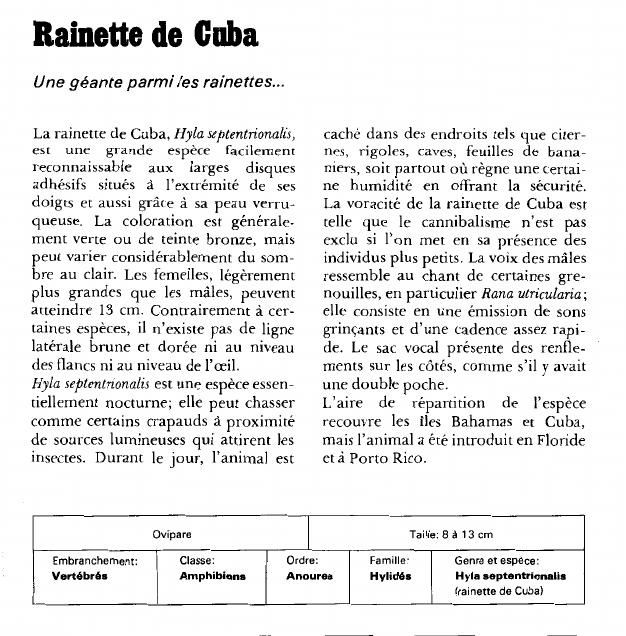 Prévisualisation du document Rainette de Cuba:Une géante parmi les rainettes.
