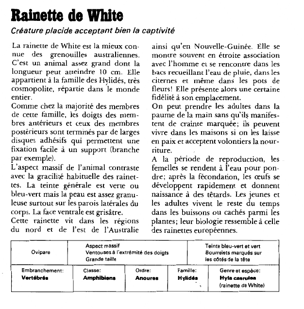 Prévisualisation du document Rainette de White:Créature placide acceptant bien la captivité.