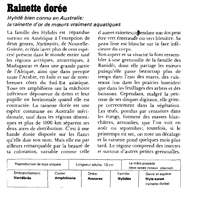 Prévisualisation du document Rainette dorée:Hylidé bien connu en Australie.
